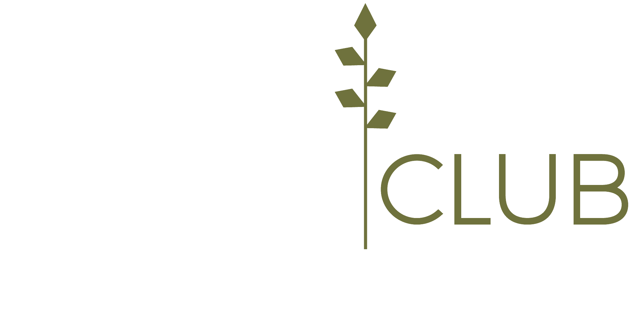 Touris Club