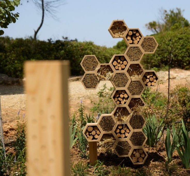 Bees