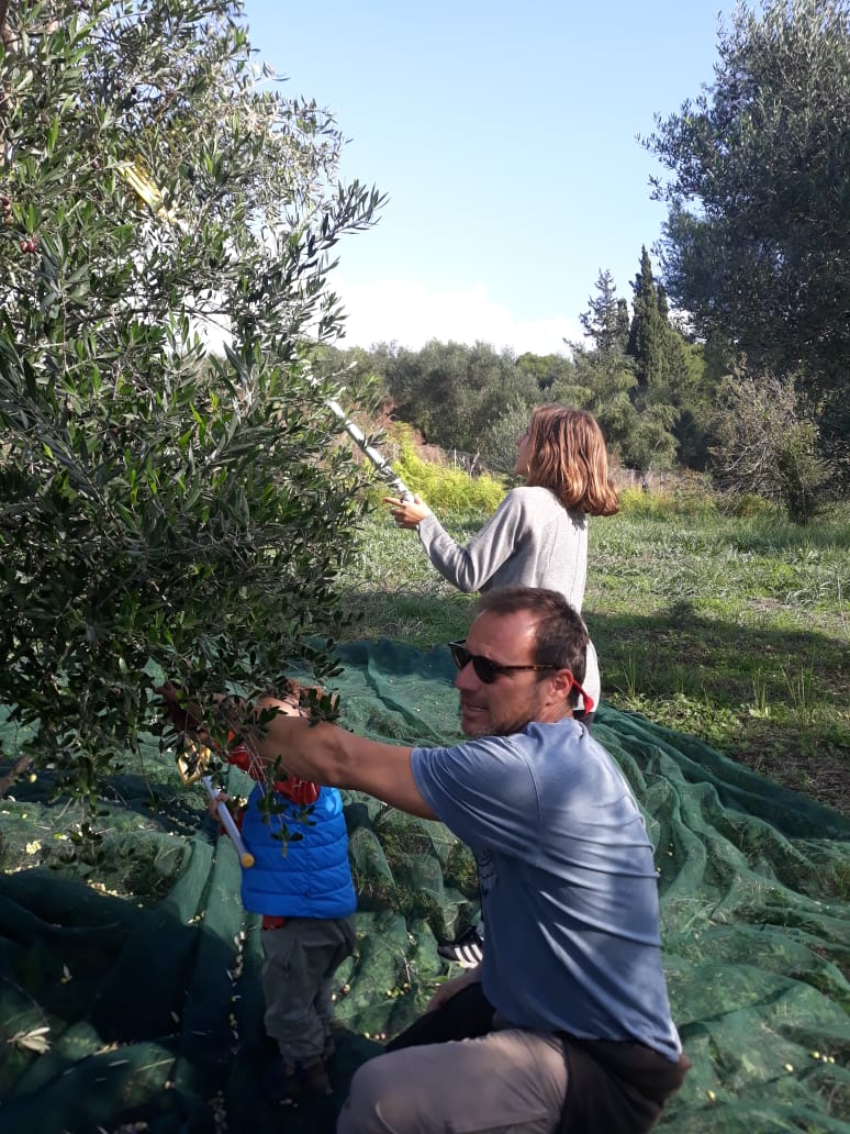 Olives